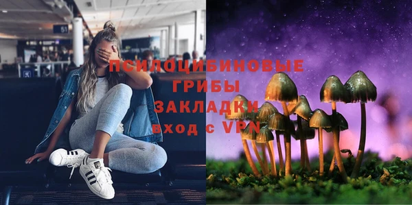 прущая мука Бронницы