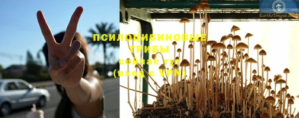 Альфа ПВП Бугульма