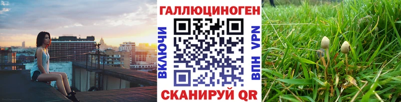 Галлюциногенные грибы MAGIC MUSHROOMS  Нытва 